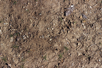 Dirt ground earth soil with debris stones detail