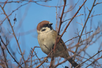 Ciekawski © Tomek Kiecana