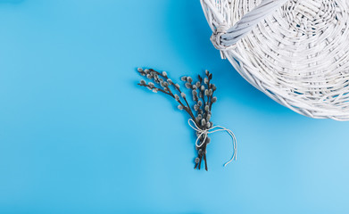 Willow in white whicker basket on blue pastel background