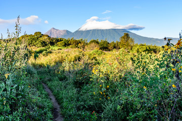Dirt footpath, overgrown pasture & volcanoes, Guatemala, Central America