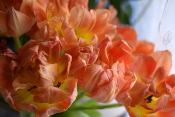 bouquet of tulips, tulip flower, tulips,tulip  bouquet, tulip bunch, centerpiece, flower, orange, spring, tulip, nature, red, yellow, garden, flowers, tulips, plant, green, blossom, bloom, beautiful, 