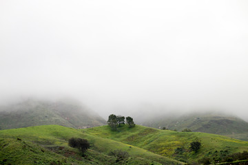 Santa Paula Califonria Outdoors in Spring on a cloudy day