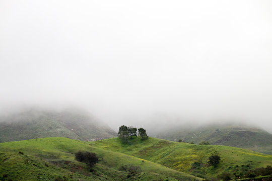 Santa Paula Califonria Outdoors in Spring on a cloudy day