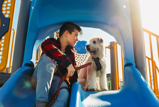 Boy looking at dog while sitting on slide in playground