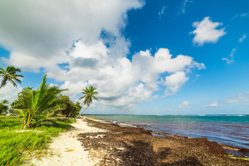 Cloudy sky over Autre Bord beach in Guadeloupe