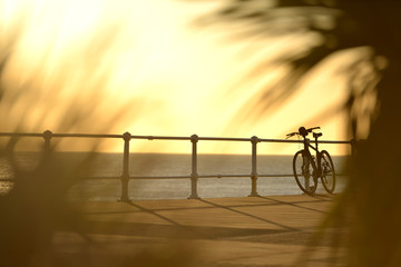 Seaside bike