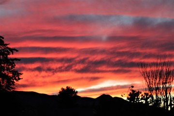 Arizona Sunset