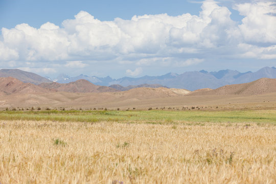 Beautiful mountain landscape in Karakol, Kyrgyzstan