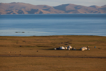Obraz premium Traditional yurts at Song Kol Lake in Kyrgyzstan