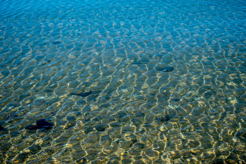 abstract water ripple background with sun rays