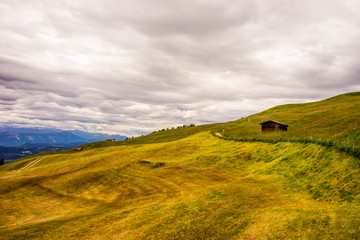 Italy, Alpe di Siusi, Seiser Alm with Sassolungo Langkofel Dolomite, an old barn in a field