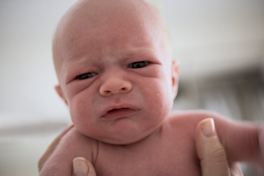 Portrait of a newborn baby.