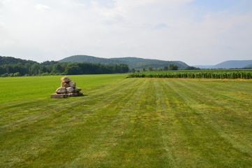 Rock Statue in the Field
