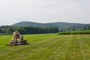 Rock Statue in the Meadow