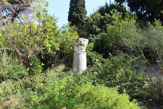 statue in the garden