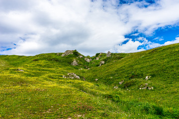 Fototapeta na wymiar Alpe di Siusi, Seiser Alm with Sassolungo Langkofel Dolomite, a close up of a grassy hill