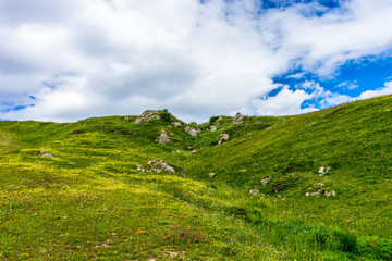 Naklejka premium Alpe di Siusi, Seiser Alm with Sassolungo Langkofel Dolomite, a close up of a grassy hill