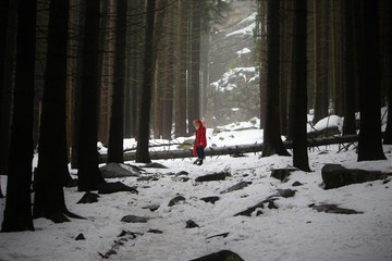 Der Schierker Feuerstein (Feuersteinklippe im Harz)