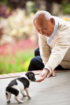 Old man playing with a puppy.