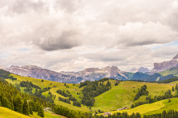 Obraz premium Alpe di Siusi, Seiser Alm with Sassolungo Langkofel Dolomite, a large mountain in the background