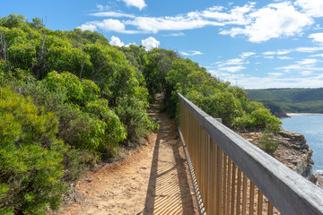 Fototapeta na wymiar Bouddi National Park in Central Coast NSW Australia