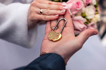 castle in the hands of the newlyweds
