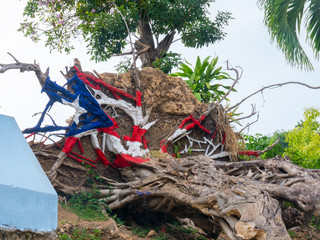 Painted Puerto Rico state flag on uprooted tree from Hurricane Maria in San Juan, Puerto Rico.