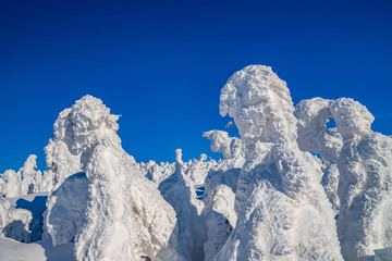  Towada Hachimantai National Park Hachimantai　　 Frost-covered trees
