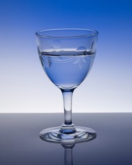glass of vodka 