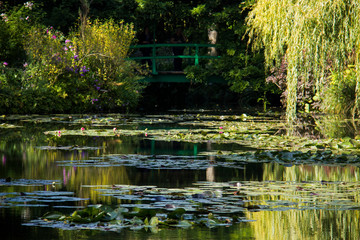 Jardin Du Monet