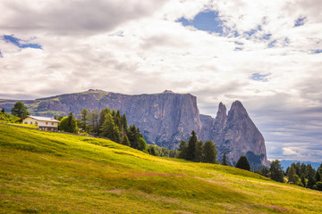 Alpe di Siusi, Seiser Alm with Sassolungo Langkofel Dolomite, a field with a mountain in the background