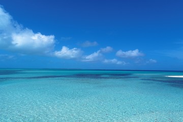 Obraz premium Los Roques, Caribbean Sea, Venezuela: Vacation, travel, resort, peace, tranquility. Tropical travel. Deserted beach. Travel destination. Tourism point. Postal card. Paradisiac beach.