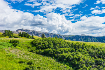 Alpe di Siusi, Seiser Alm with Sassolungo Langkofel Dolomite, a large green field with trees in the background