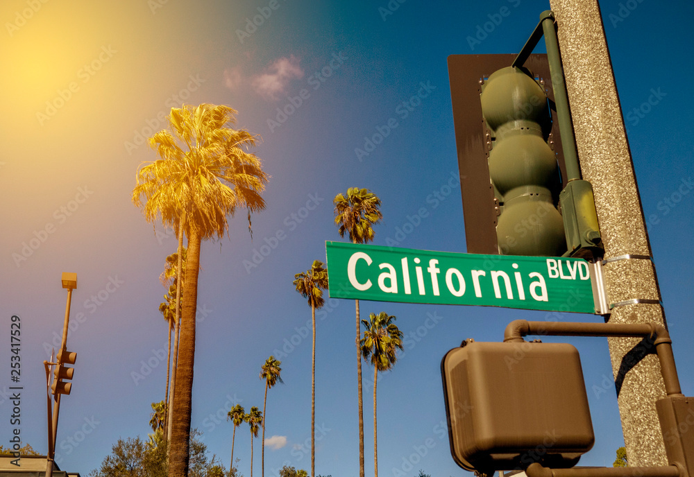 Wall mural view of a typical southern california scene with a california bl sign, palm trees and sun rays