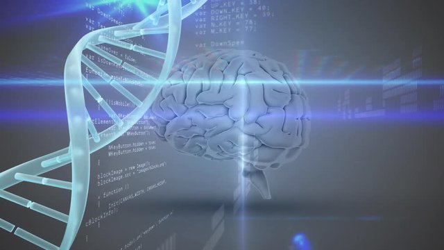 Brain with DNA helix and computer code 