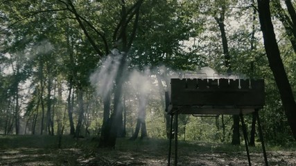 Amazing slow motion in the forest - smoke from bbq and daylight.