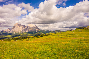 Alpe di Siusi, Seiser Alm with Sassolungo Langkofel Dolomite, a large green field with a mountain in the background