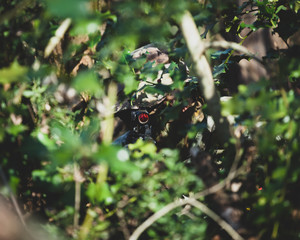 Airsoft military game