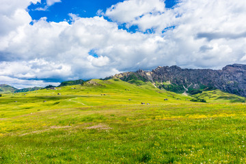 Alpe di Siusi, Seiser Alm with Sassolungo Langkofel Dolomite, a large green field with a mountain in the background