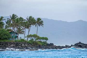 Tropical beach in Hawaii