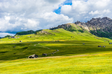 Obraz premium Alpe di Siusi, Seiser Alm with Sassolungo Langkofel Dolomite, a close up of a lush green field in a valley canyon
