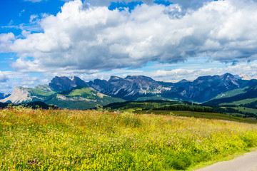 Alpe di Siusi, Seiser Alm with Sassolungo Langkofel Dolomite, a close up of a green field with a mountain in the background