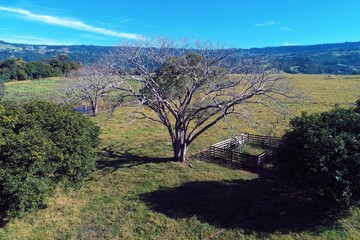 DCIM\100MEDIAerial view of agriculture scene and rural scene. Beaufiful landscape. Great countryside view. Agriculture scenery. Rural scenery. Countryside scenery. Rural road. Farm view.