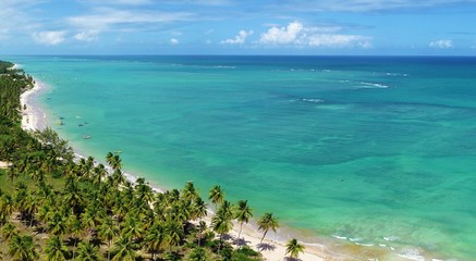 Vacation on deserted beach in Brazil. São Miguel dos Milagres, Alagoas, Brazil. Riacho's and Lage's beaches. Fantastic landscape. Great beach scene. Paradise beach. Brazillian Caribbean.