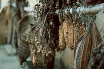 detail of dried corn in rural house