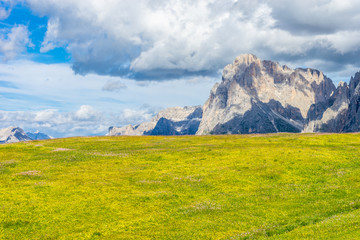 Alpe di Siusi, Seiser Alm with Sassolungo Langkofel Dolomite, a large green field with a mountain in the background