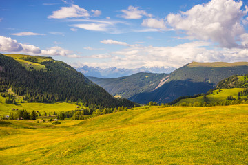 Obraz premium Alpe di Siusi, Seiser Alm with Sassolungo Langkofel Dolomite, a large green field with a mountain in the background