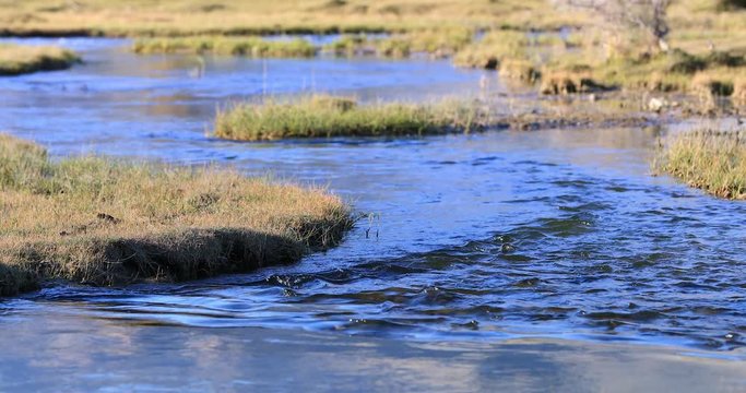 Twisted river stream flows through grassy valley of Nubra, Ladakh, India 4K 60p video background