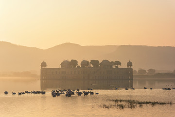 Beautiful Jal mahal and spot-billed pelican in the Man sagar lake at sunrise time, Jaipur city of...