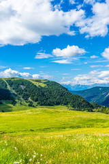 Obraz premium Alpe di Siusi, Seiser Alm with Sassolungo Langkofel Dolomite, a large green field with a mountain in the background